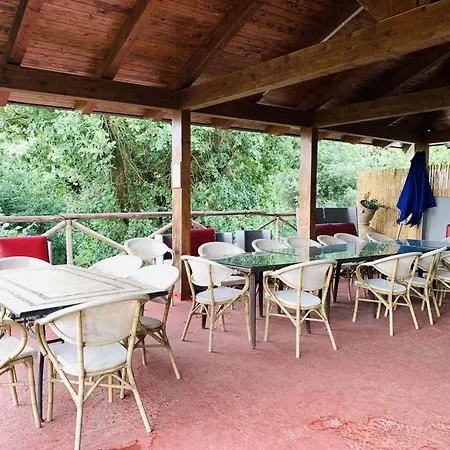 - Calisto Villa *